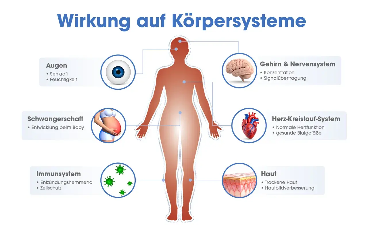 Omega 3 Wirkung: Grafik zeigt Einfluss auf Augen, Gehirn, Herz, Haut, Immunsystem und Schwangerschaft.
