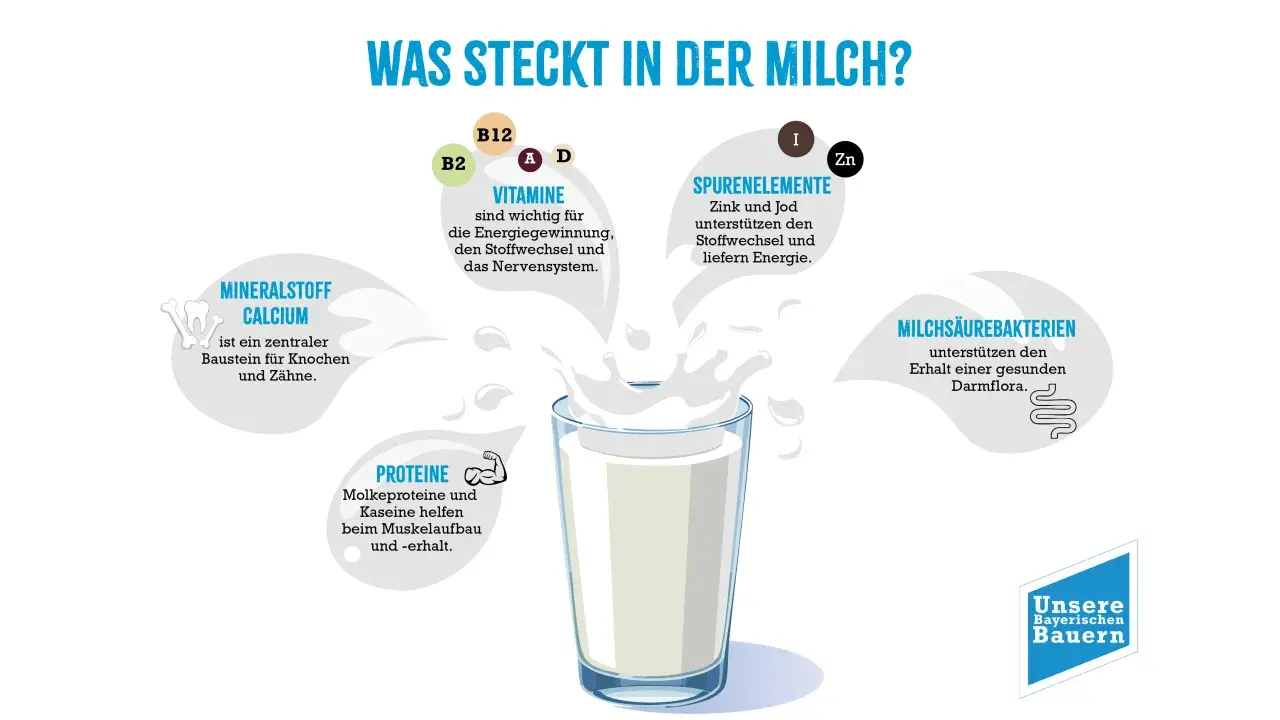 Milch enthält Mineralstoff Calcium, wichtig für Knochen & Zähne. Vitamine, Spurenelemente & Proteine sind ebenfalls enthalten.