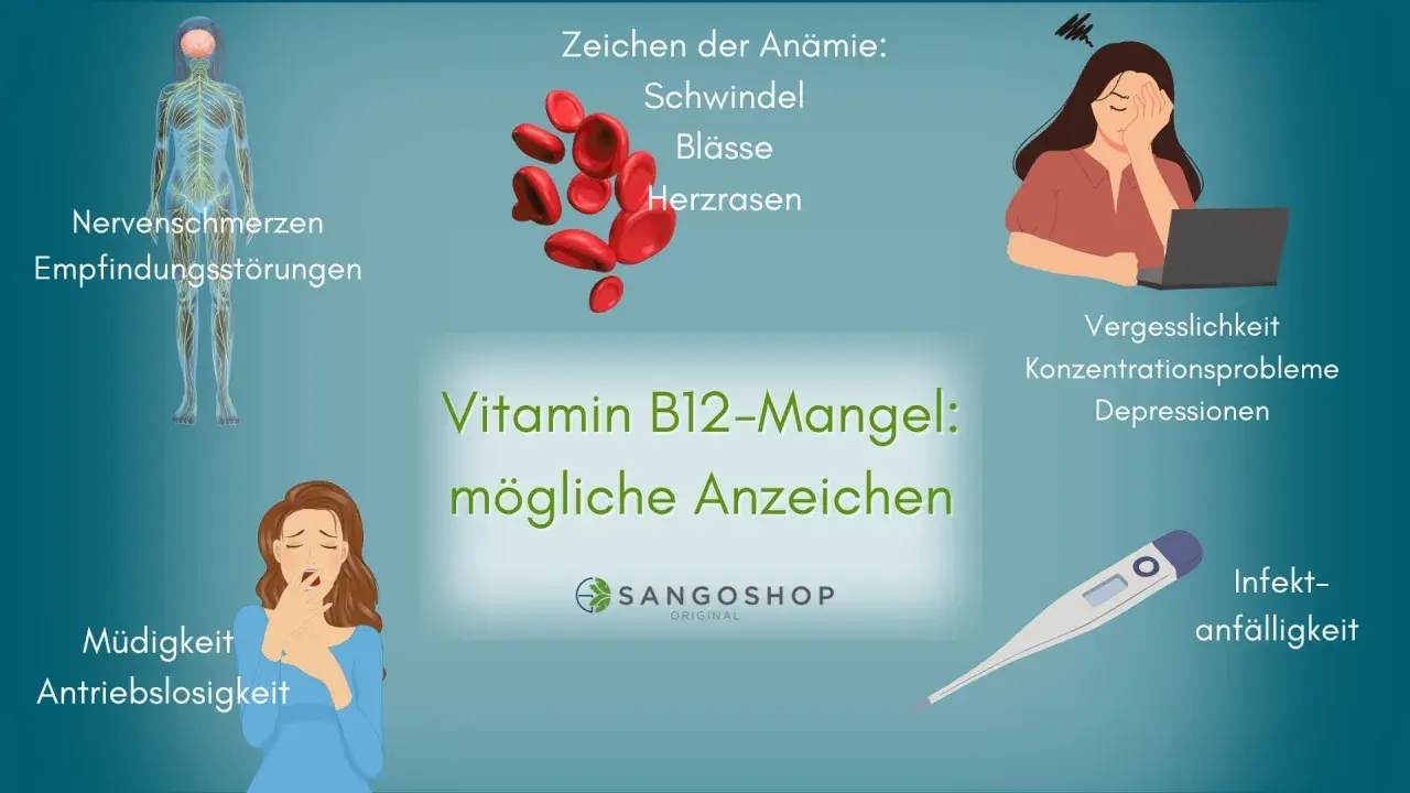 Vitamin B12-Mangel: Anzeichen wie Müdigkeit, Nervenschmerzen, Vergesslichkeit und Infektanfälligkeit.