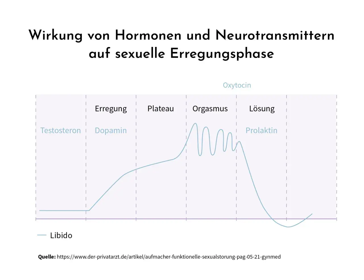 Diagramm zeigt Hormonwirkung auf sexuelle Erregung. Niedriger Libido kann durch Hormonungleichgewicht erklärt werden, warum kann ich nicht kommen?