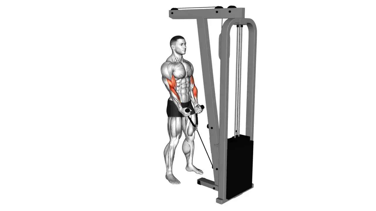 Mann macht Hammer Curls am Kabelzug.