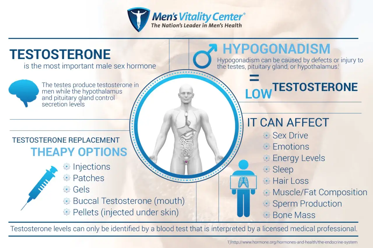 Infografik erklärt, was macht Testosteron: wichtigstes männliches Hormon, Produktion, Hypogonadismus und Auswirkungen auf Libido, Energie, Muskeln.