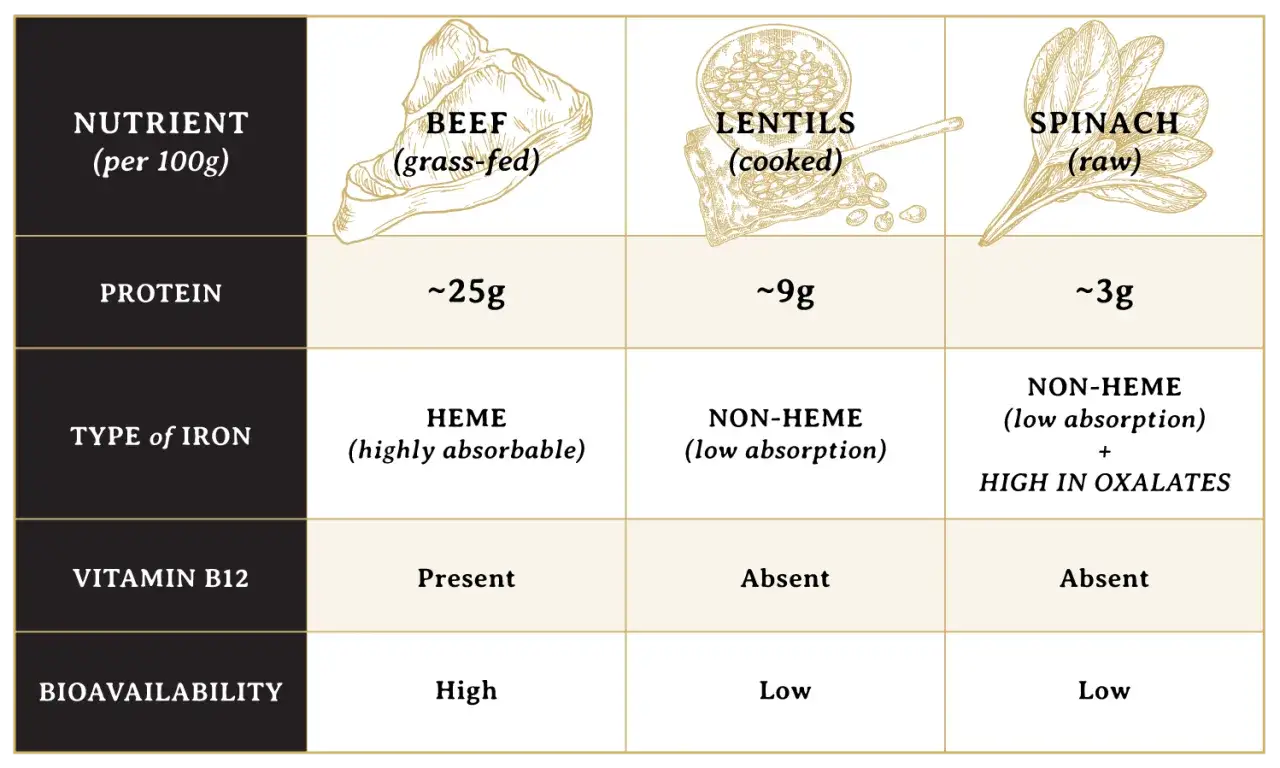 Vergleichstabelle: Vitamine, Fleisch, Linsen, Spinat. Rindfleisch liefert viel Protein, H&auml;m-Eisen und Vitamin B12.